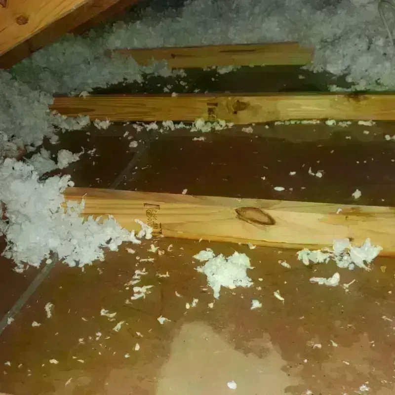 Attic Water Damage in Opelousas, LA